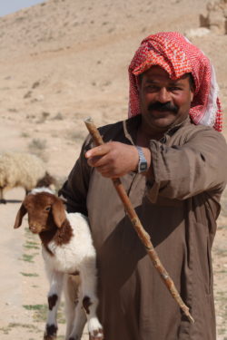A Bedouin Shepherd